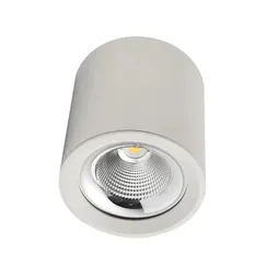 Накладной круглый светодиодный светильник  Promzar D190 30W 45grad 5000К Белый
