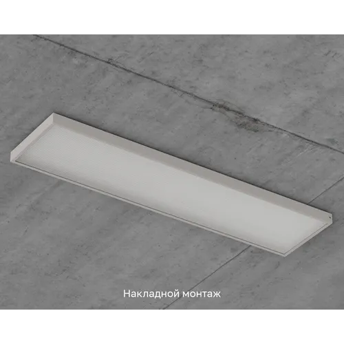 Officezar 1195-295-Prizma-IP40-6